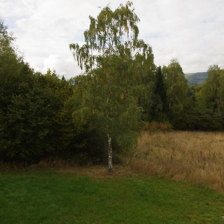 Hôtel Magiczne Bieszczady - Smerek 86 à Cisna Extérieur photo