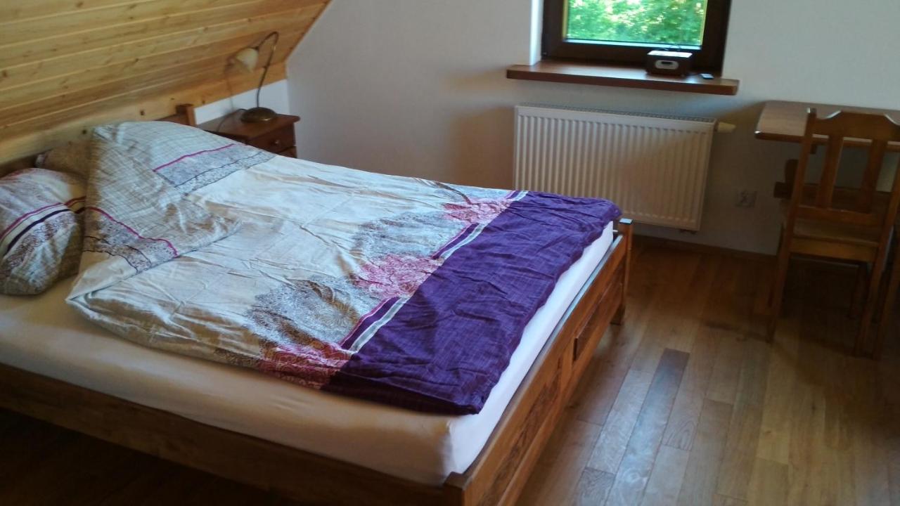Hôtel Magiczne Bieszczady - Smerek 86 à Cisna Extérieur photo